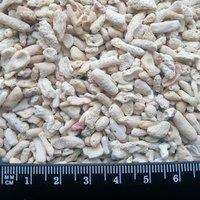 coral gravel extra coarse grade 4kg