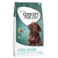 Concept for Life Large Junior - Economy Pack: 2 x 12kg