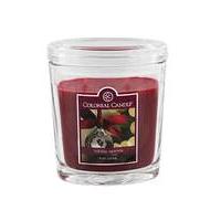 colonial candle 9oz holiday sparkle