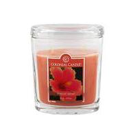 Colonial Candle 9oz Tropical Nectar