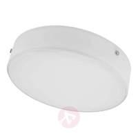 Cool white LED ceiling light Sole
