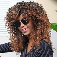 Colormix Long Side Bang Afro Curly Synthetic Wig