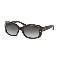 Coach Sunglasses HC8161F Asian Fit 500211