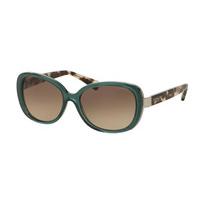 Coach Sunglasses HC8172 5370D0