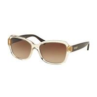 Coach Sunglasses HC8160F Asian Fit 534113