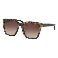 coach sunglasses hc8201d asian fit 509313