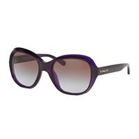 Coach Sunglasses HC8197F Asian Fit 524968