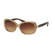 Coach Sunglasses HC8172 536913