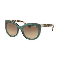 Coach Sunglasses HC8171 5370D0