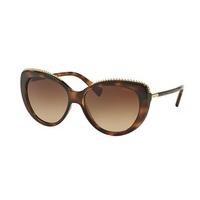 Coach Sunglasses HC8157 512013