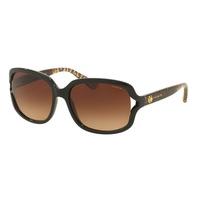 coach sunglasses hc8169 535313