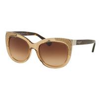 Coach Sunglasses HC8171 536913