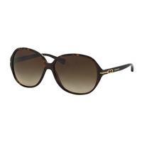 coach sunglasses hc8118f bailey asian fit 500113