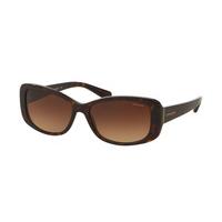 Coach Sunglasses HC8168F Asian Fit 512013