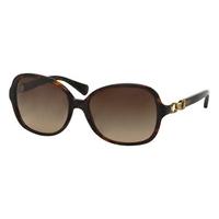 coach sunglasses hc8123f asian fit 510513