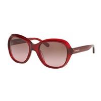 Coach Sunglasses HC8197F Asian Fit 502914