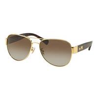 Coach Sunglasses HC7059 Polarized 9238T5