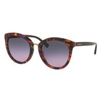 coach sunglasses hc8199d asian fit 533990