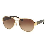 Coach Sunglasses HC7059 923813