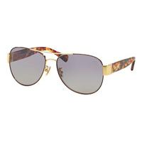 coach sunglasses hc7059 polarized 92482p