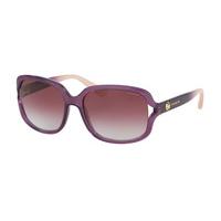 coach sunglasses hc8169 53518h