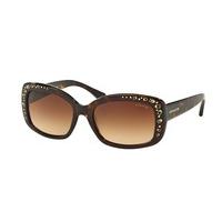 Coach Sunglasses HC8161F Asian Fit 512013