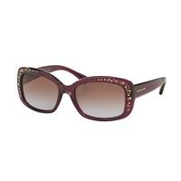 coach sunglasses hc8161f asian fit 504368