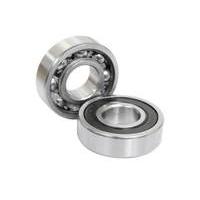 Cole Rollen Elite Bearing Kit | Rear