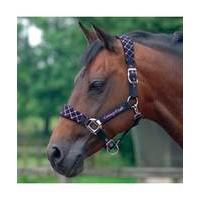 Cottage Craft Check Padded Headcollar