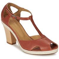 Coclico EMILIA women\'s Sandals in brown
