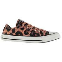 converse animal ox canvas shoes