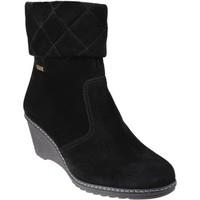 cotswold cornwell womens low ankle boots in black