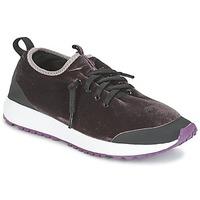 Coolway TAHALIFIT women\'s Shoes (Trainers) in brown