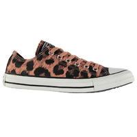 Converse Animal Ox Canvas Shoes