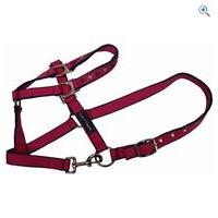 Cottage Craft Galaxy Headcollar - Size: FULL - Colour: Pink