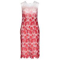 Coral Ombre Floral Lace Bodycon Dress