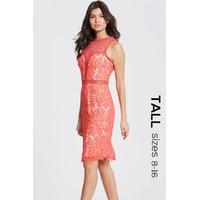 Coral Crochet and Lace Bodycon Dress