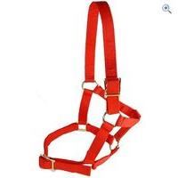 cottage craft economy headcollar size full colour red