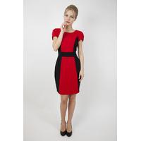 Contrast Panel Tailored Dress