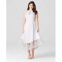 Coast Rach Rose Lace Dress