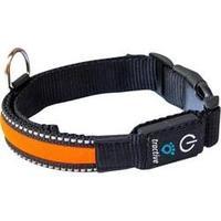 Collar tractive LED Hundehalsband M (39 - 55 cm) Orange