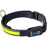 collar tractive led hundehalsband s 33 45 cm yellow