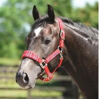 Cottage Craft Stripe Headcollar