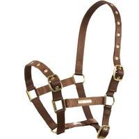 Cottage Craft Adjustable Headcollar