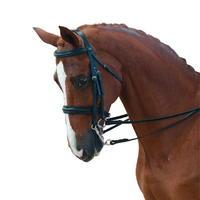 Collegiate Raised Weymouth Bridle