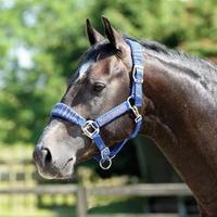 Cottage Craft Candy Stripe Headcollar