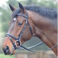 Cottage Craft Oxford Bridle