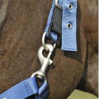 Cottage Craft Turnout Safe Headcollar