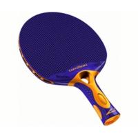 Cornilleau Tacteo T30
