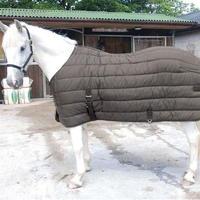 Cosy Pony Sleep Tite Medium Under Rug